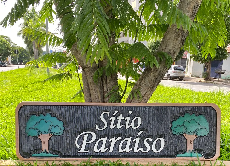 Placa de madeira maciça entalhada à mão com profundidade e relevo