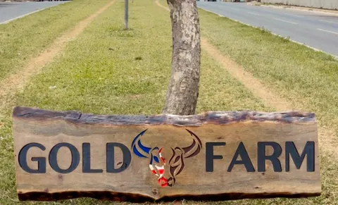 Placa Gold Farm instalada, entalhada à mão em madeira rústica